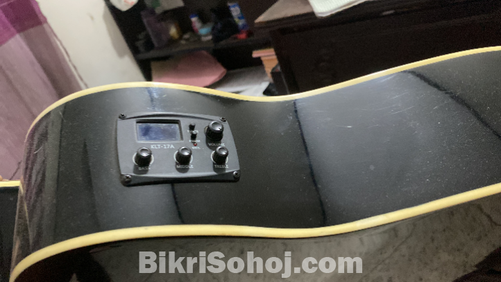 rogers guiter DL-17F